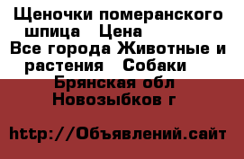 Щеночки померанского шпица › Цена ­ 25 000 - Все города Животные и растения » Собаки   . Брянская обл.,Новозыбков г.